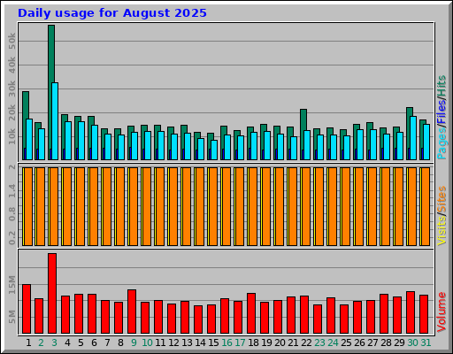 Daily usage for August 2025