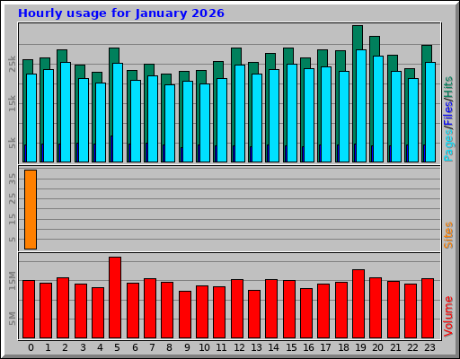 Hourly usage for January 2026